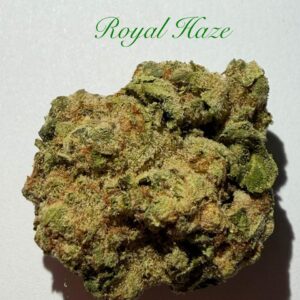 ROYAL HAZE (SATIVA) INDOOR
