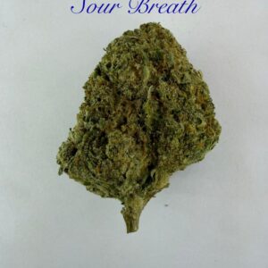 SOUR BREATH INDOOR(SATIVA)