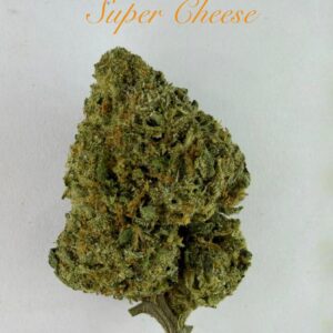 SUPER CHEESE INDOOR (HYBRID)