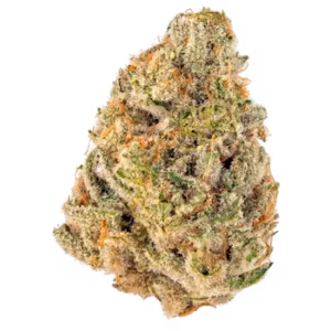 Swiss Cheese (Hybrid) GreenDoor