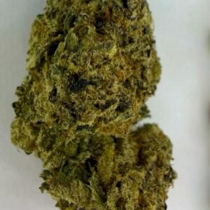 CANDY PAVE (INDICA) Aerophonics