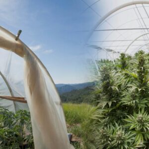 Greenhouse / Tunnel