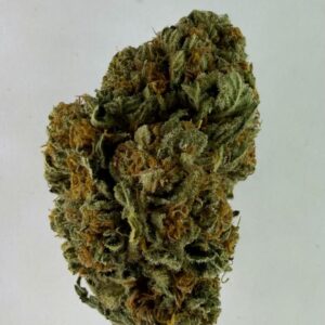 RAINBOW SHERBET INDOOR (HYBRID)