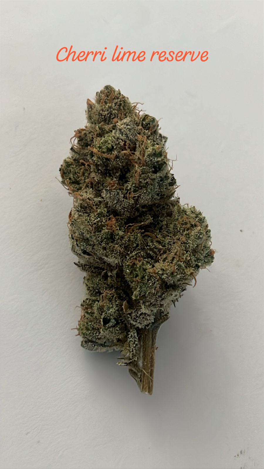CHERRY LIME RESERVE (HYBRID)