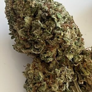 SOUR BREMIX MED (hybrid)
