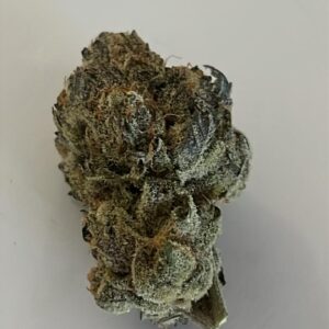 SUNSET SHERBERT (INDICA)