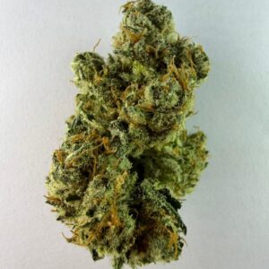 SUPER CHEESE (INDICA)H