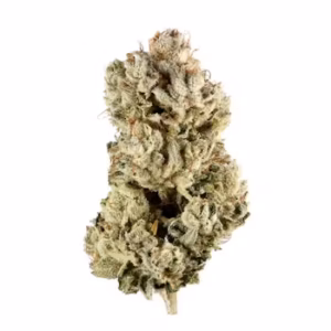 GORILLA GLUE GG4 HYBRID